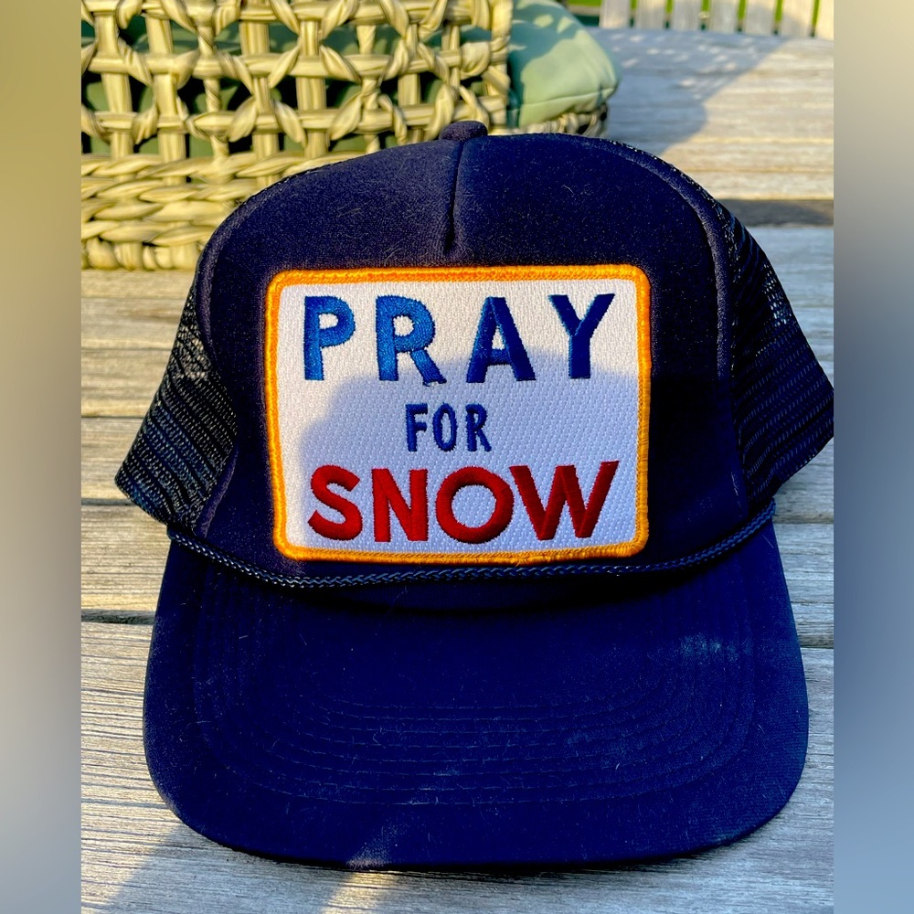 Aviator Nation Blue and White Trucker Hat